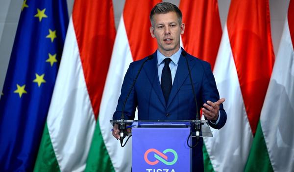 Image for Mađar traži ostavke predsednika i vodećih sudija