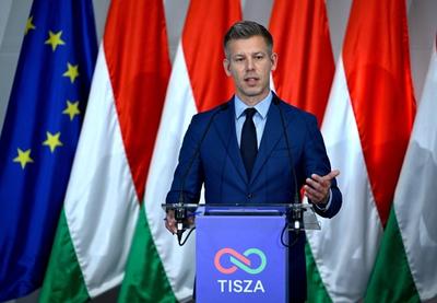 Image for Mađar traži ostavke predsednika i vodećih sudija