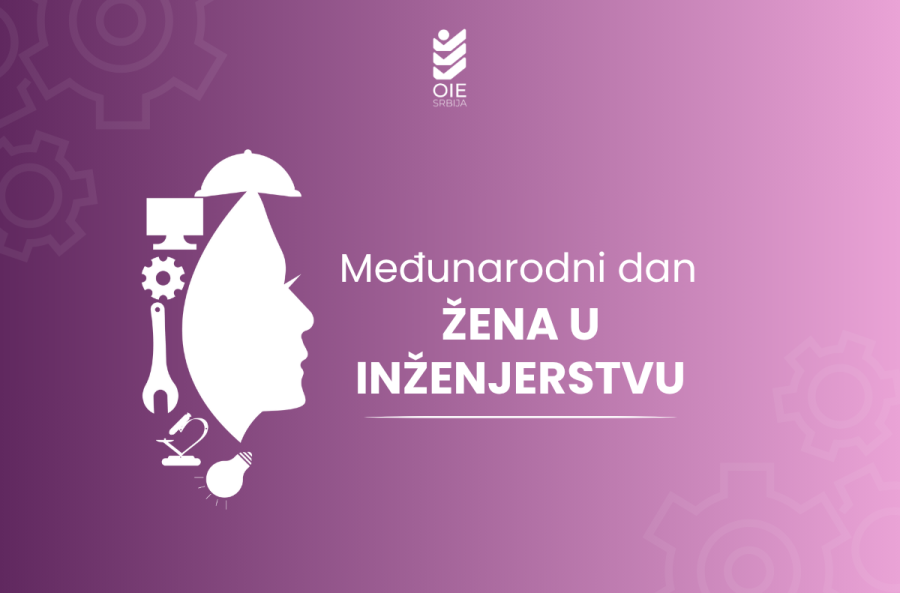 Image for Inženjeri - pretežno muškarci