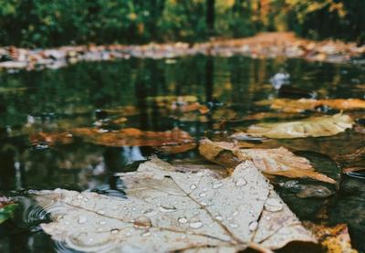 Image for Vremenska prognoza za petak, 28. novembar: Oblačno i hladno sa slabim snegom