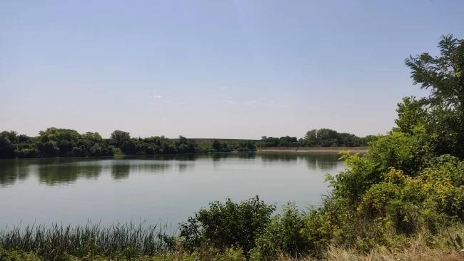 Image for Nova vrsta vilinog konjica u Srbiji