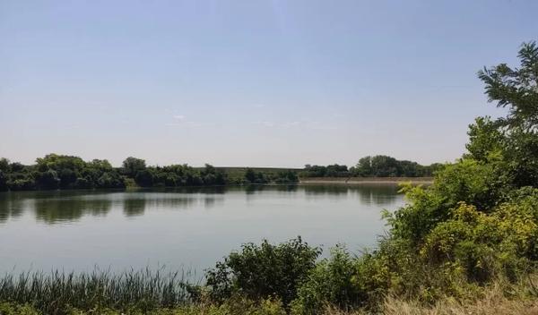 Image for Nova vrsta vilinog konjica u Srbiji