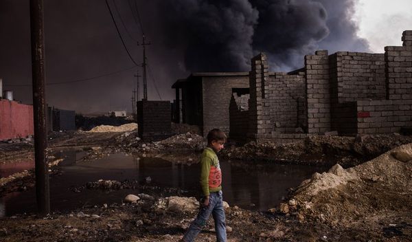 Image for Tung gošća Vizualizatora