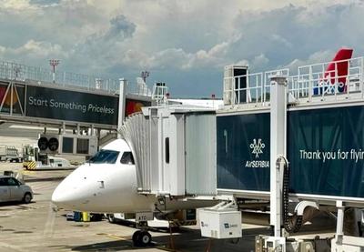 Image for Air Serbia u junu prevezla 476.435 putnika