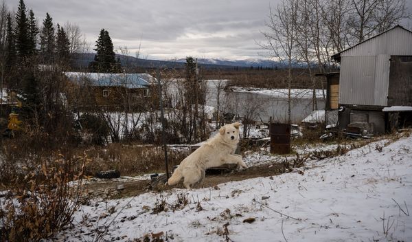 Image for Arktik pretrpeo najtopliju godinu u istoriji