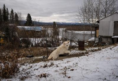 Image for Arktik pretrpeo najtopliju godinu u istoriji