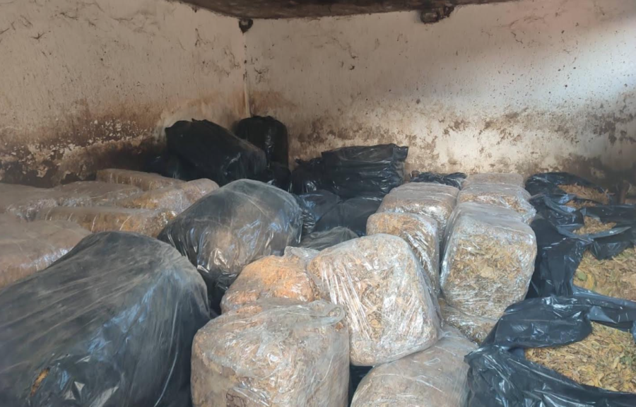 Image for Zaplena 10,8 tona duvana