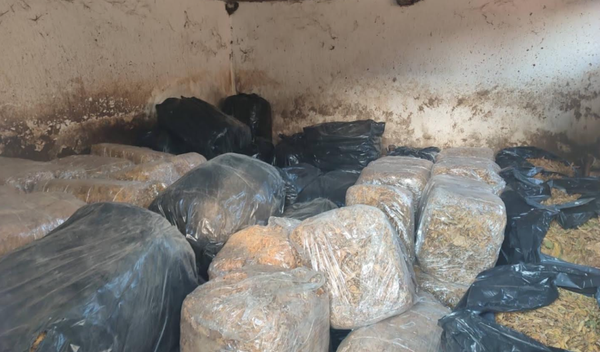 Image for Zaplena 10,8 tona duvana