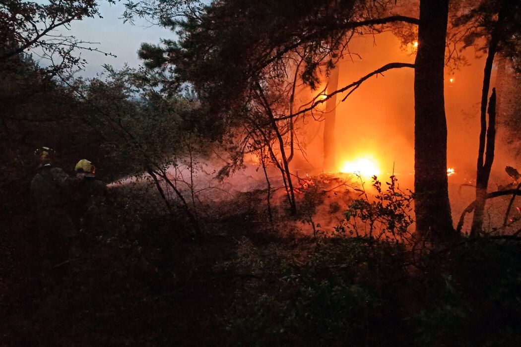 U požaru na otvorenom u Smederevu nastradao je muškarac starosti 70 godina