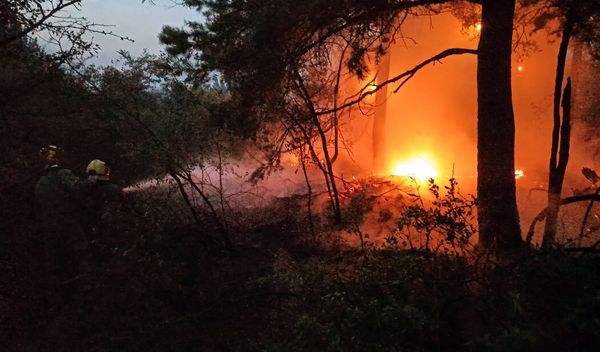 U požaru na otvorenom u Smederevu nastradao je muškarac starosti 70 godina