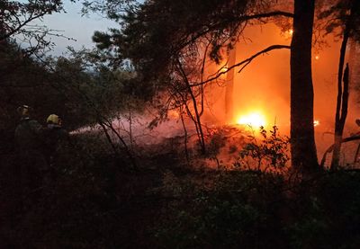 U požaru na otvorenom u Smederevu nastradao je muškarac starosti 70 godina