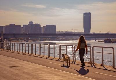 Image for Vremenska prognoza za utorak, 20. januar: Sunčano i hladno