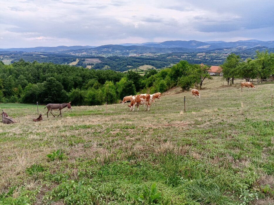 Najniža temperatura oko 7, a najviša dnevna oko 16 stepeni