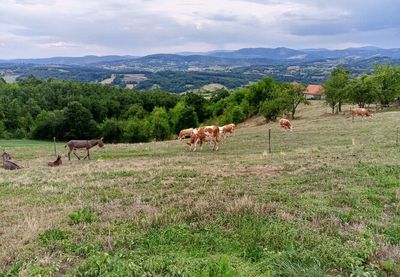 Najniža temperatura oko 7, a najviša dnevna oko 16 stepeni