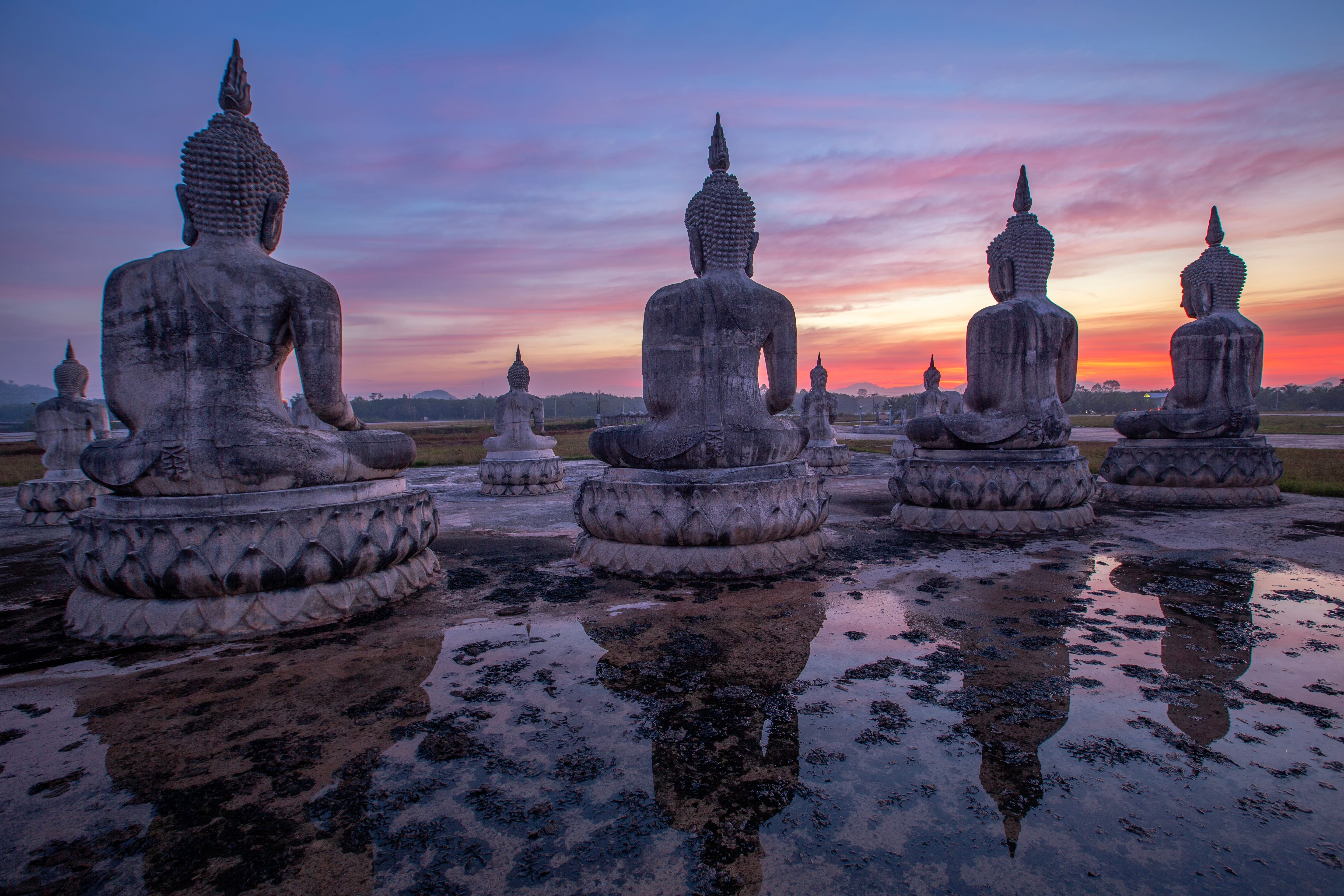 Image for Budizam: Koliko duša čeka na ponovno rođenje?