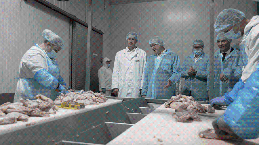 Image for Saradnja Srbije i Mađarske