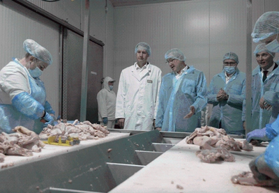 Image for Saradnja Srbije i Mađarske