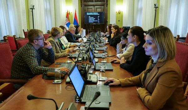 Image for Hitne odluke o REMu