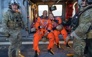 Image for Artemis se bezbedno vratio kući!