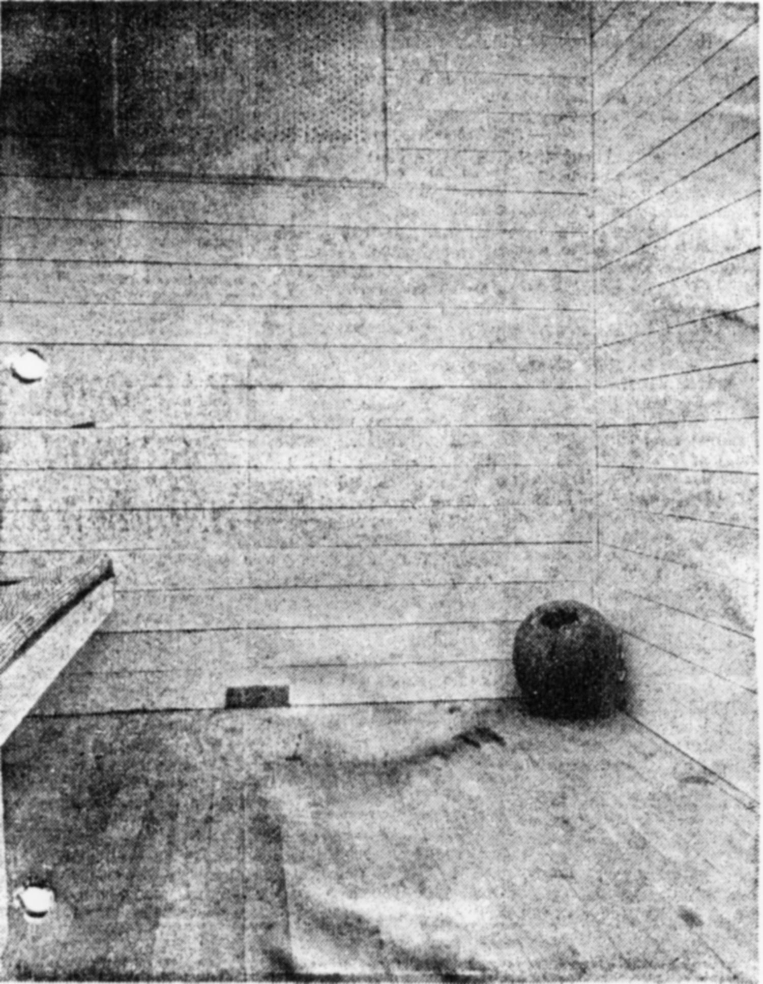The first space ball at the Ashburton police station.