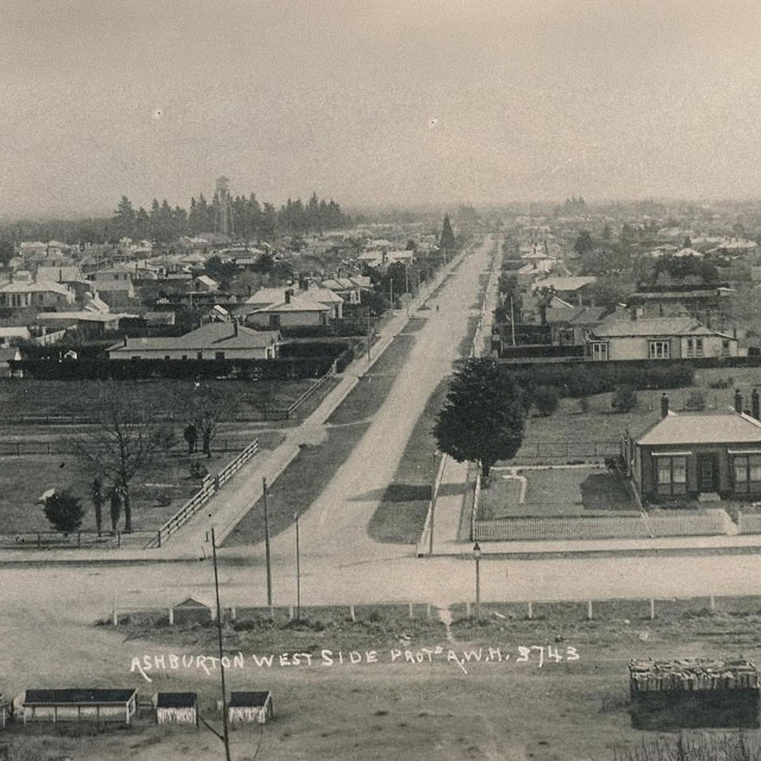 Early postcard view over Ashburton looking along Cameron Street, a wide road lined with houses and trees.