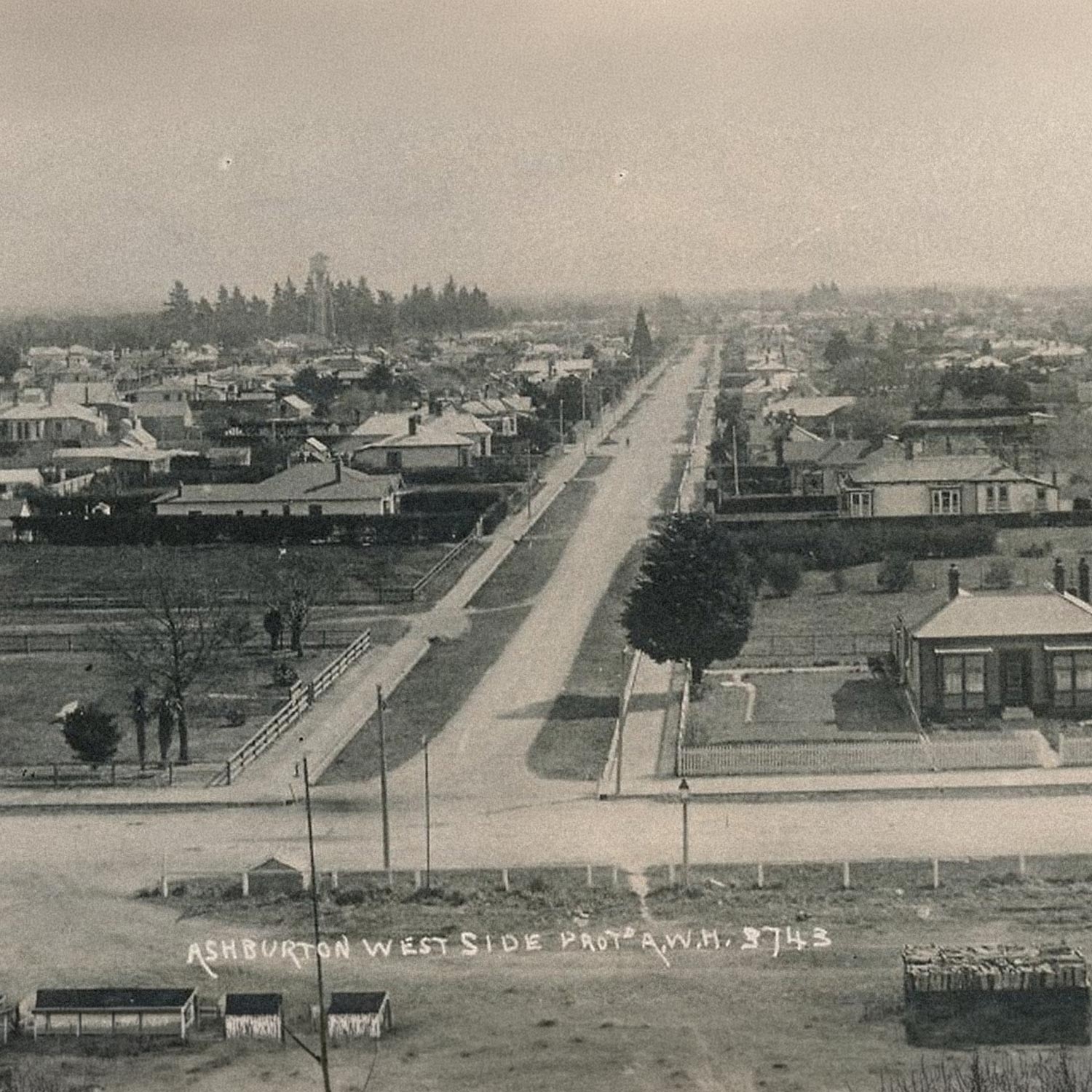 Early postcard view over Ashburton looking along Cameron Street, a wide road lined with houses and trees.