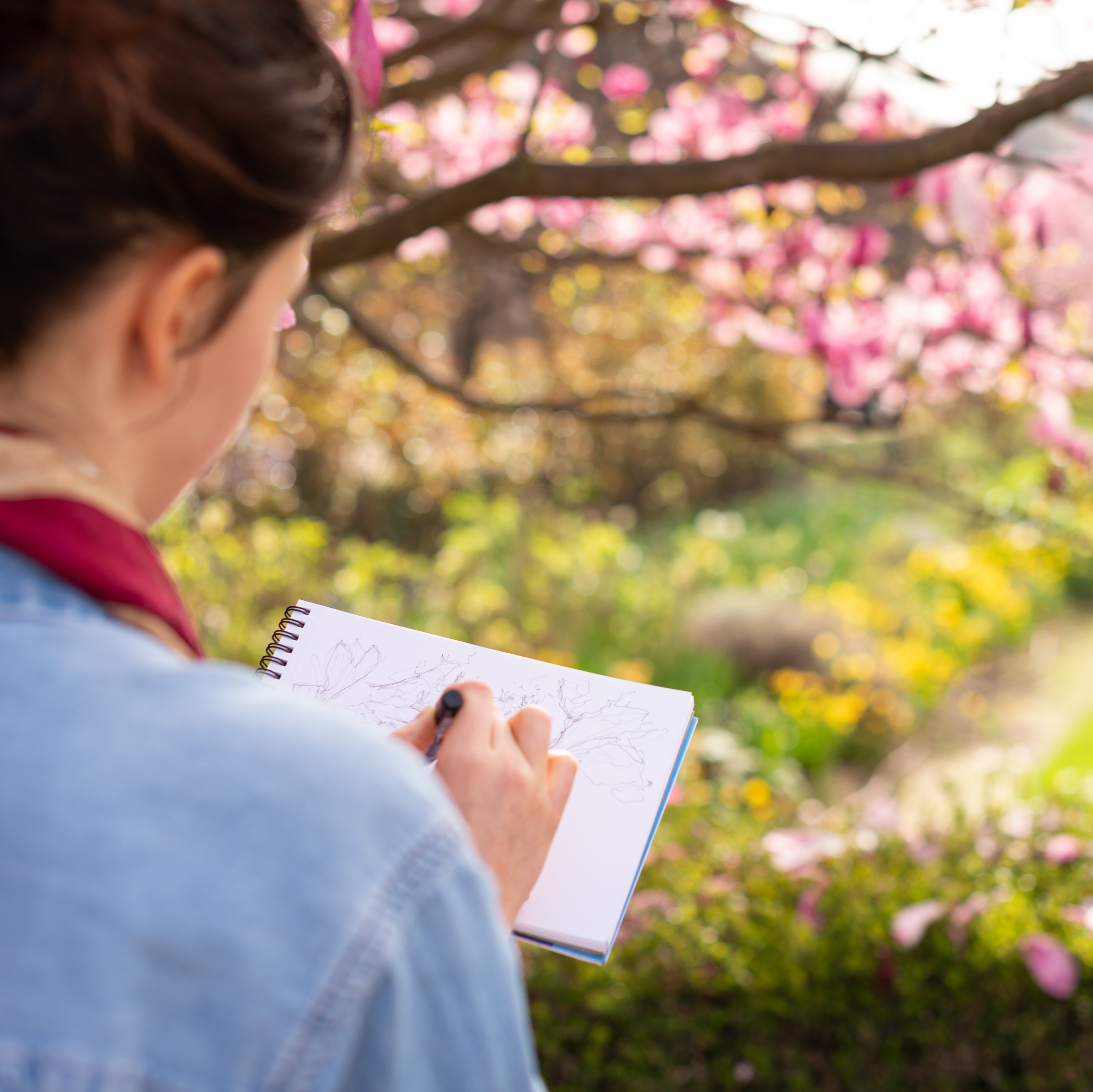 Image of woman sketching outdoors with spring blossoms