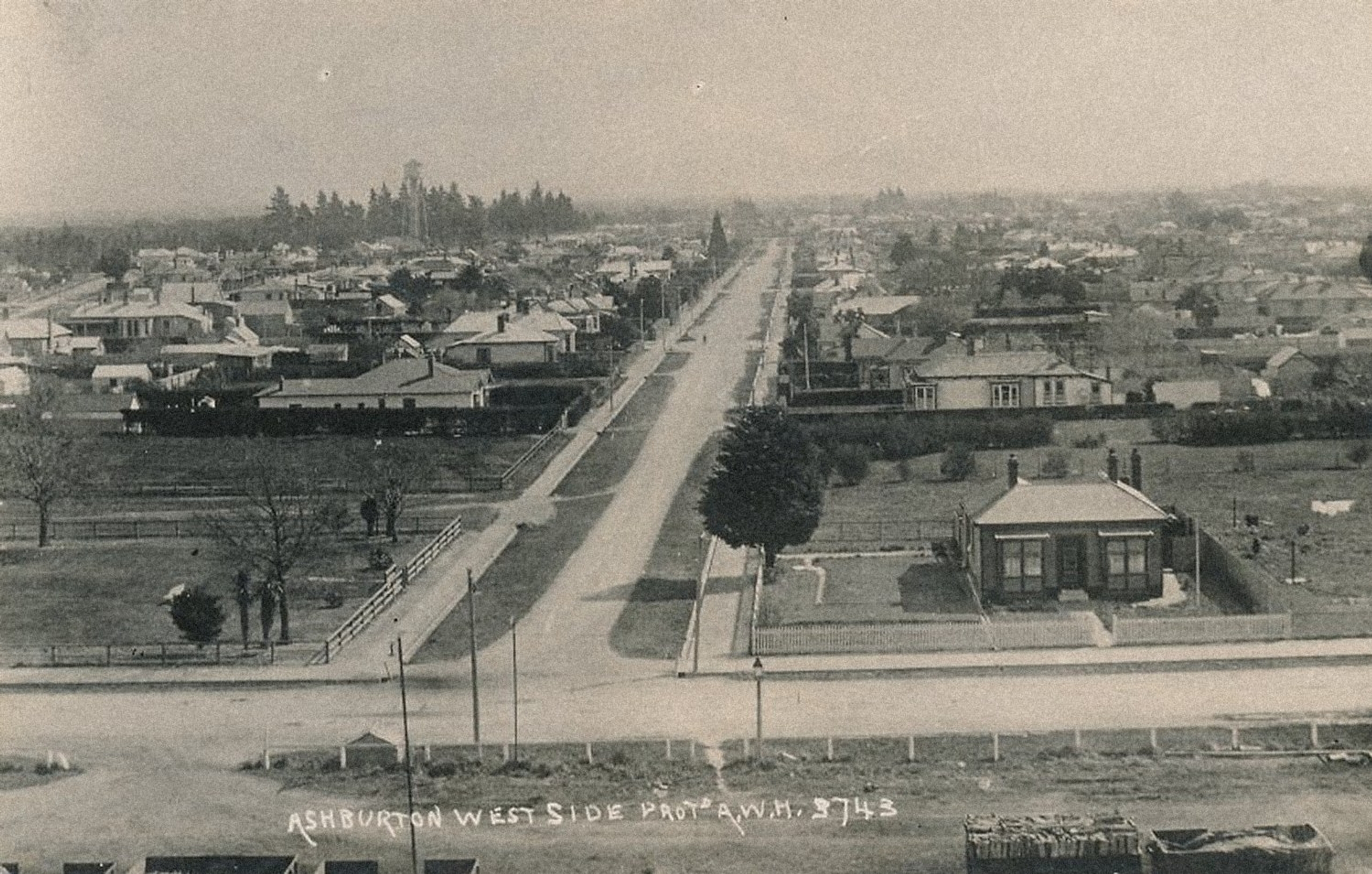 Early postcard view over Ashburton looking along Cameron Street, a wide road lined with houses and trees.