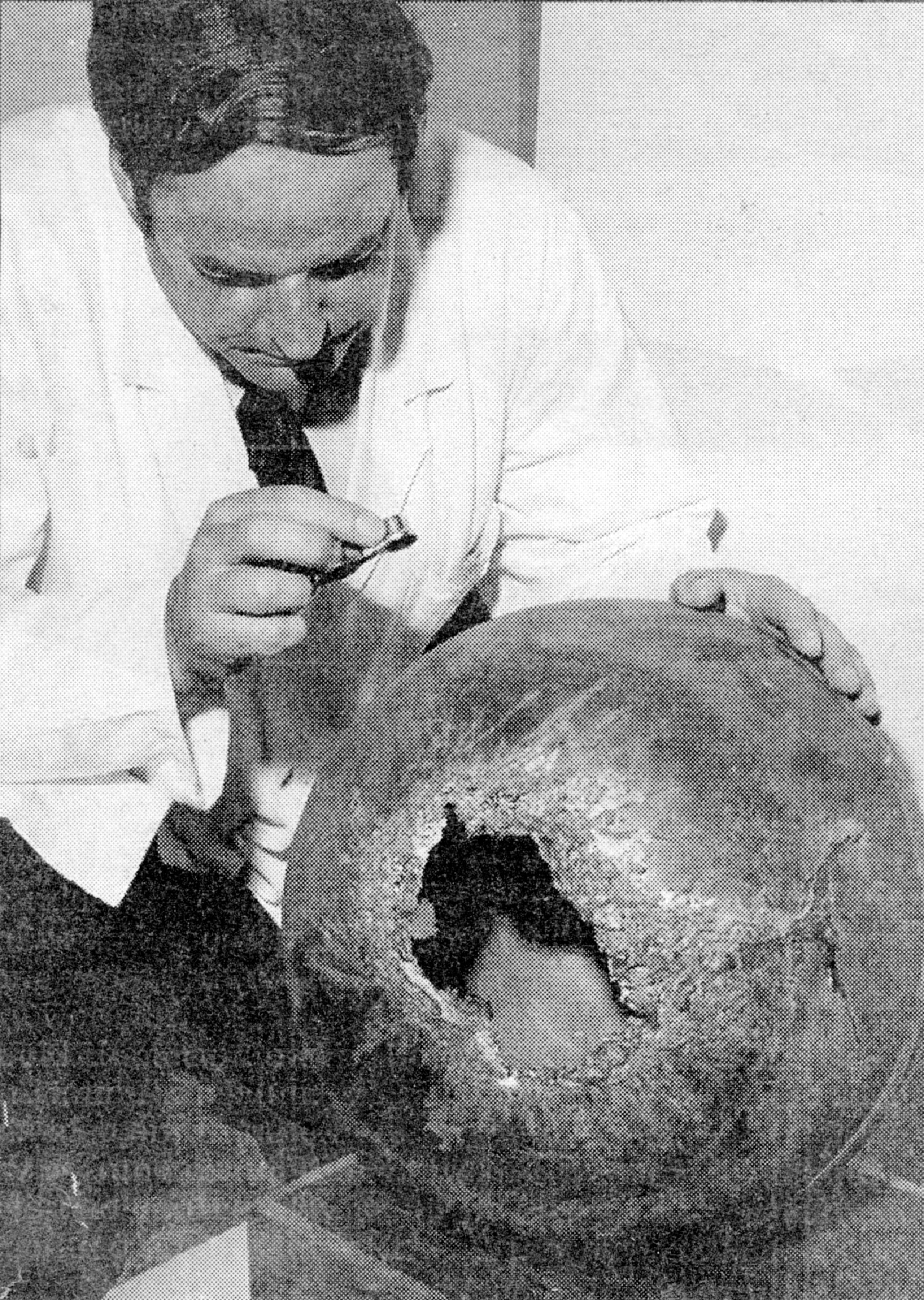 A DSIR scientist investigating the first space ball