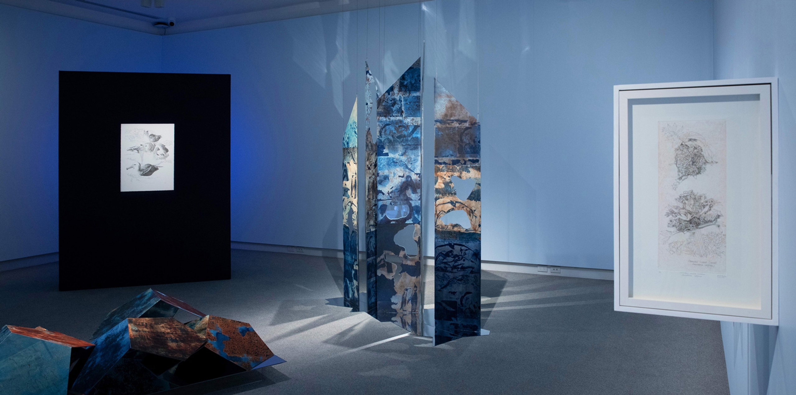 Kathy Reilly Peregrination Exhibition