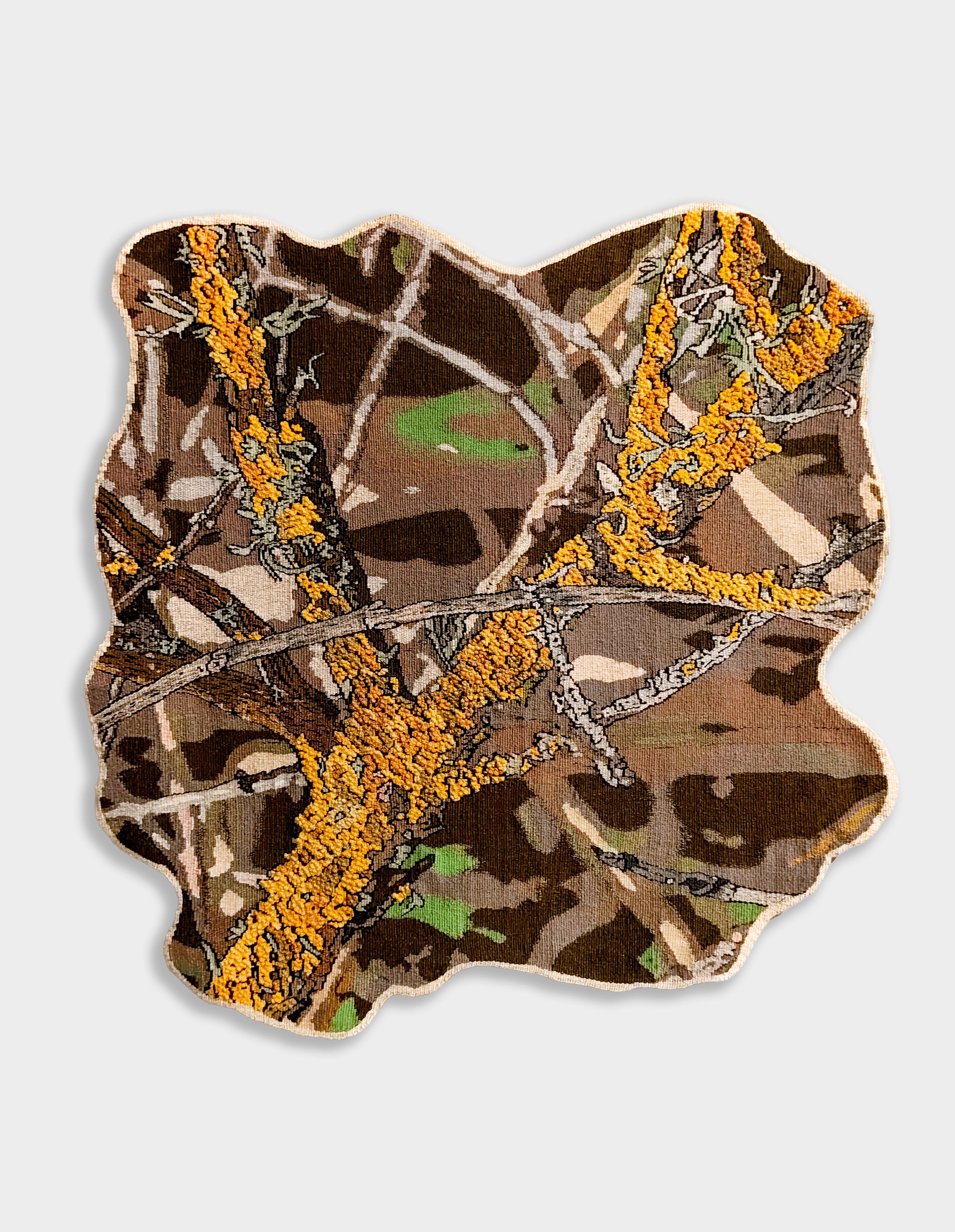 Nature's Symphony Card Set