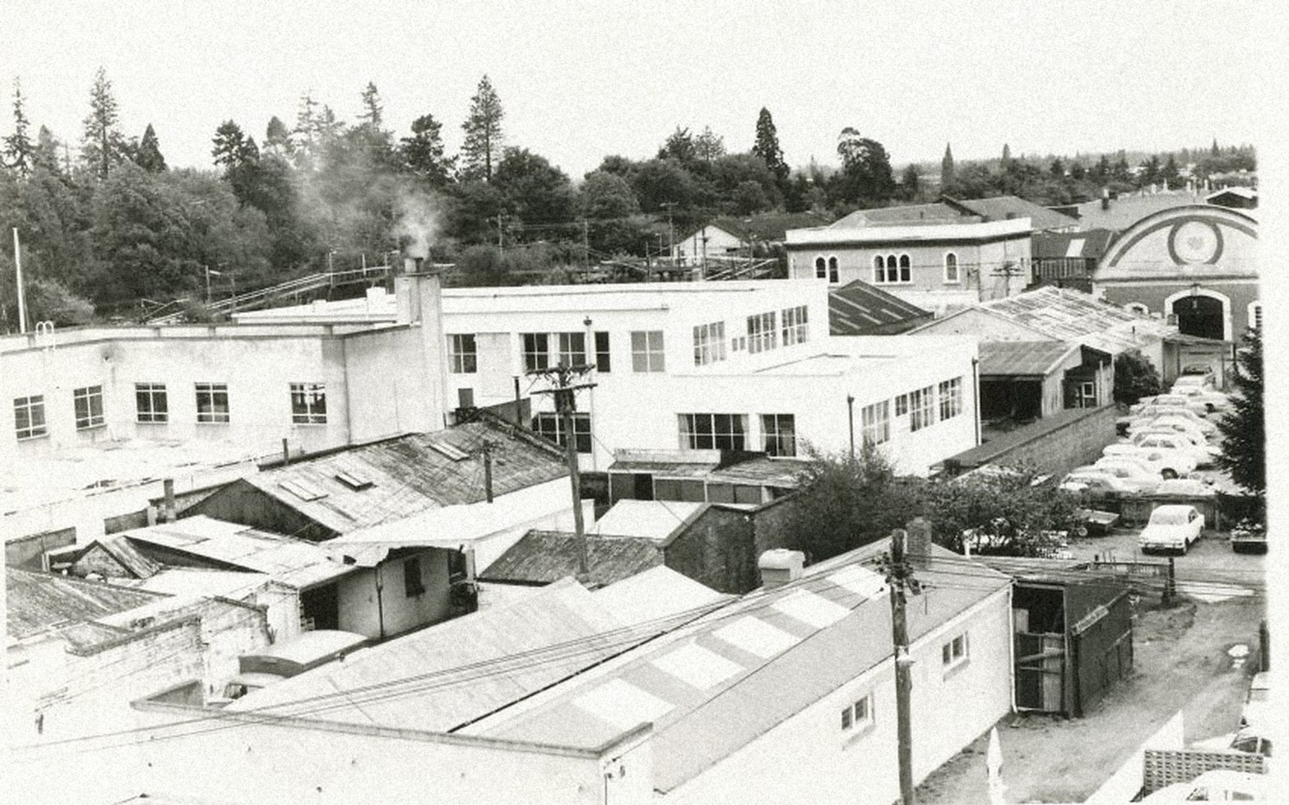 Black-and-white elevated view of the rear of buildings fronting East Street, Ashburton, showing rooftops, yards and outbuildings.
