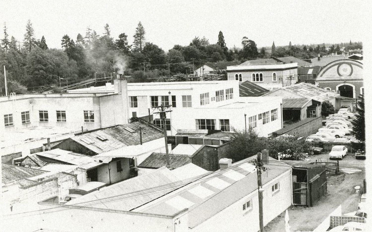 Black-and-white elevated view of the rear of buildings fronting East Street, Ashburton, showing rooftops, yards and outbuildings.