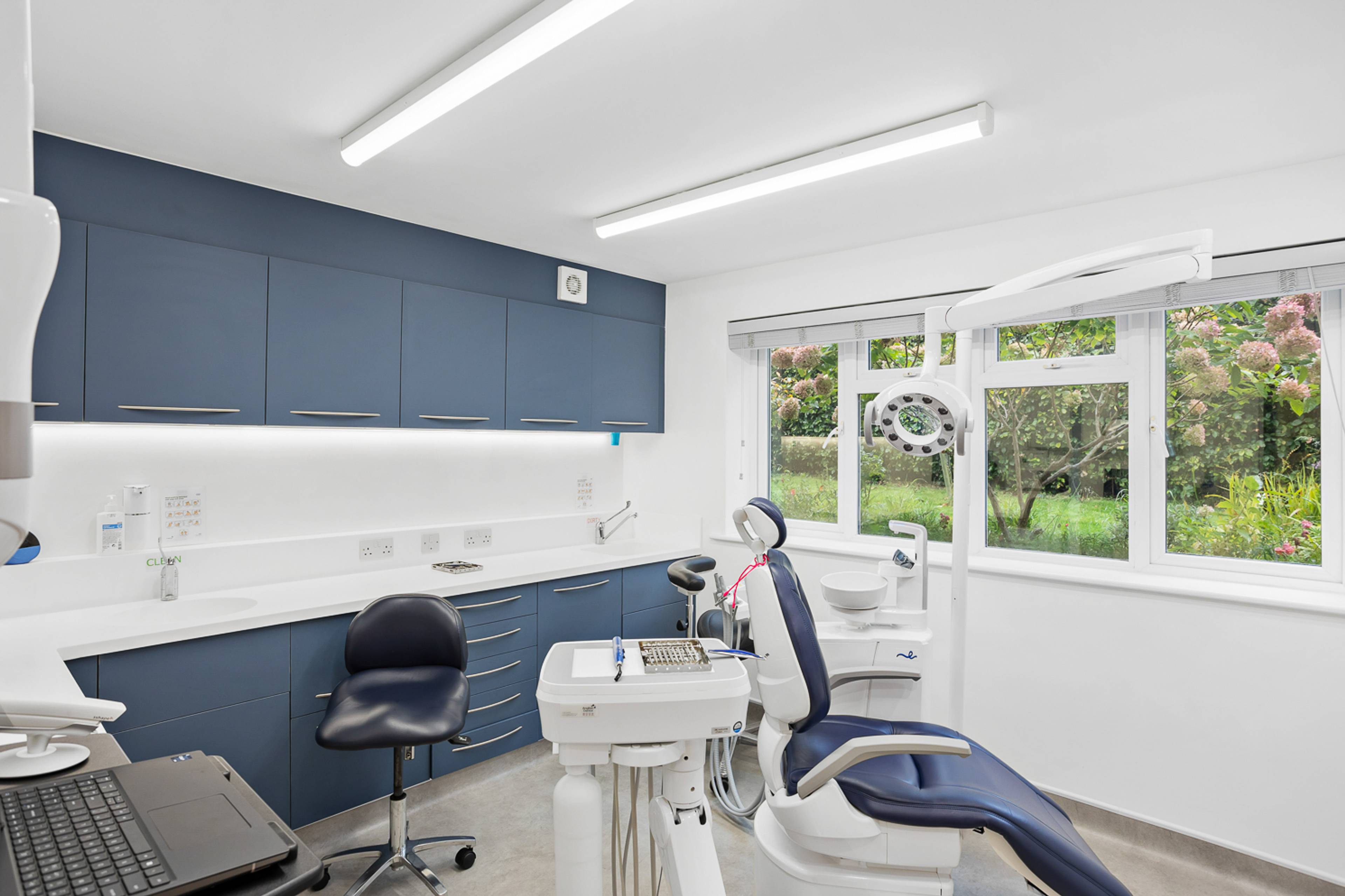 One of our lovely treatment rooms with a comfortable reclining dental treatment chair and a view of a leafy garden through the window