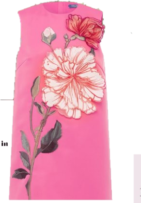 Leo Lin Rose appliqué shift