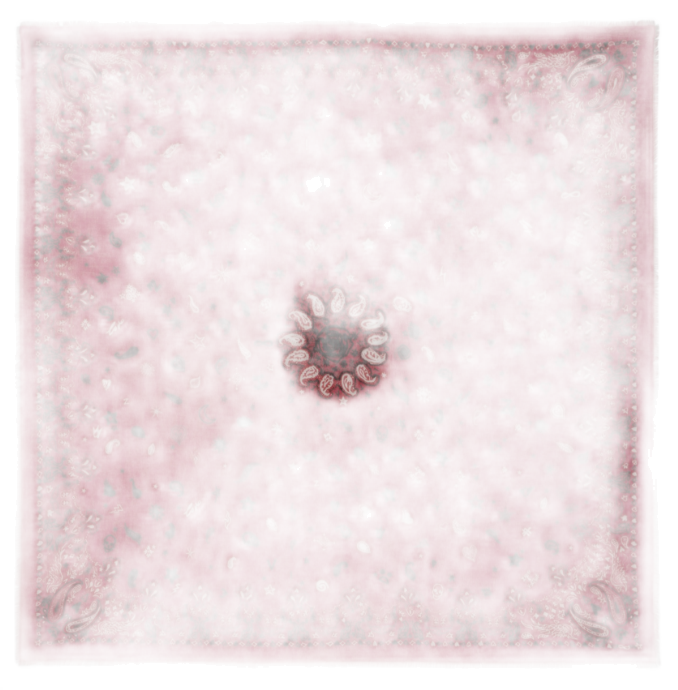 Zadig&Voltaire Rotes Quadratisches Tuch Bandana-Print 