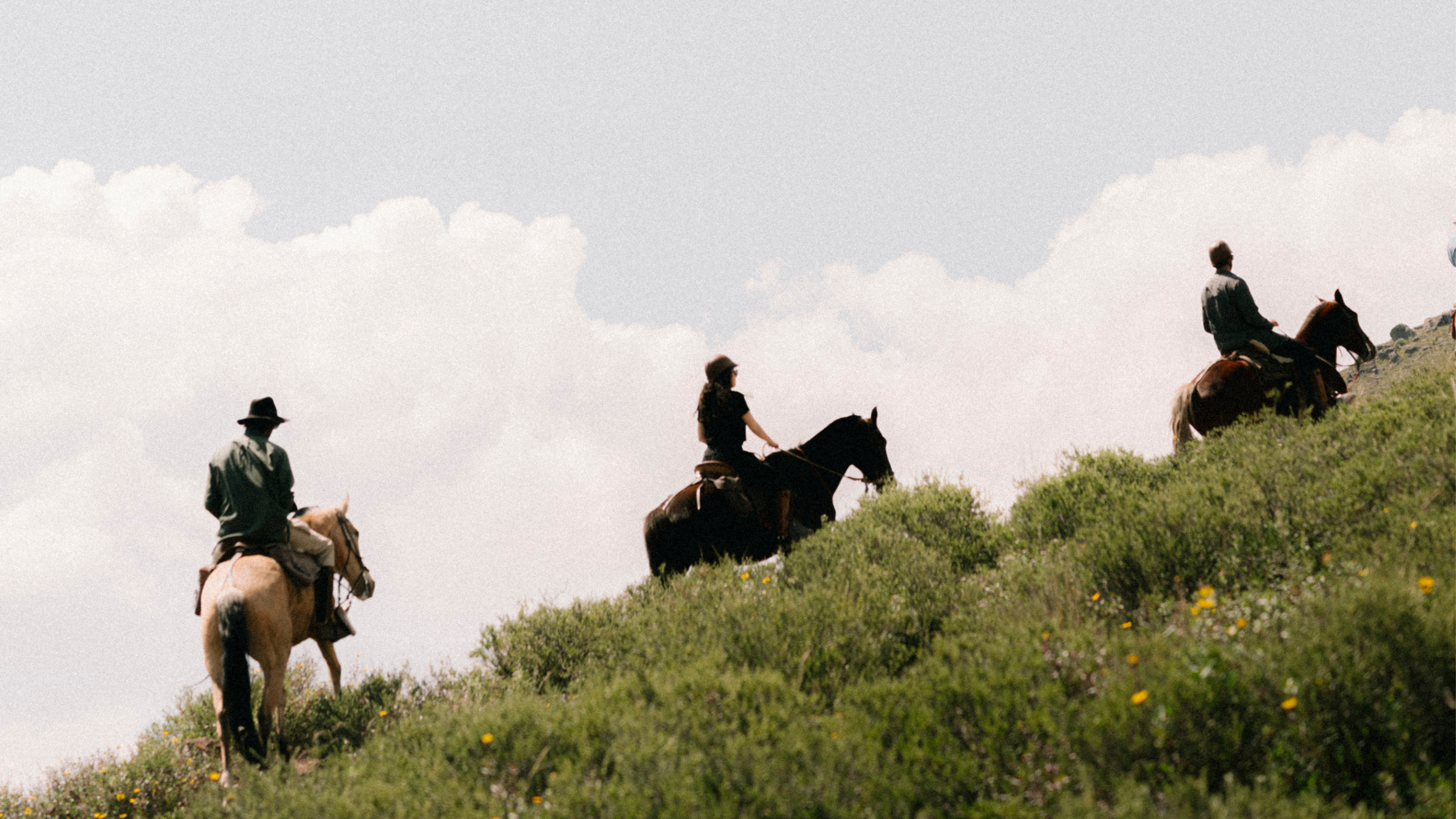 Riding Through Open Landscapes