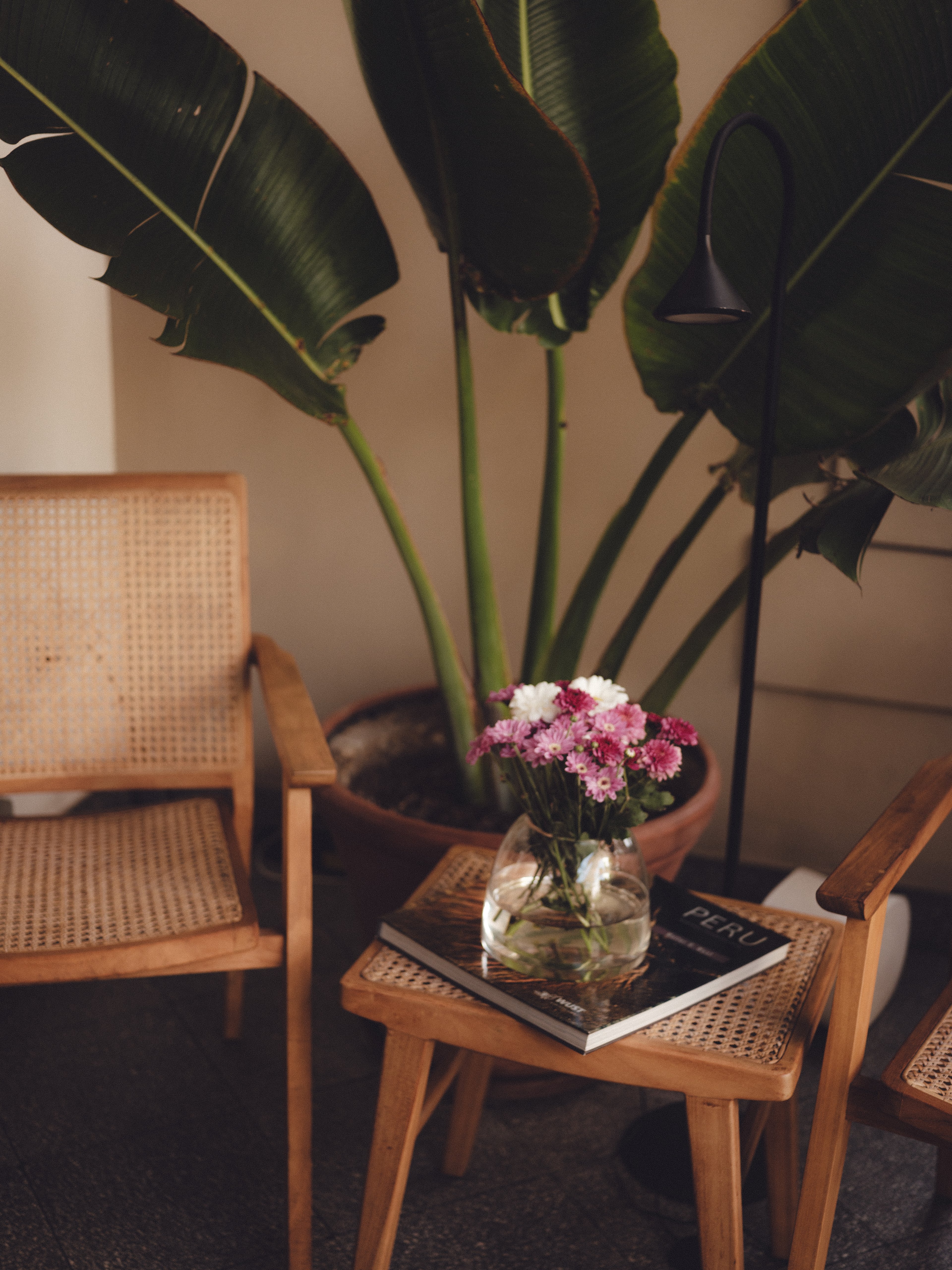 The Veranda