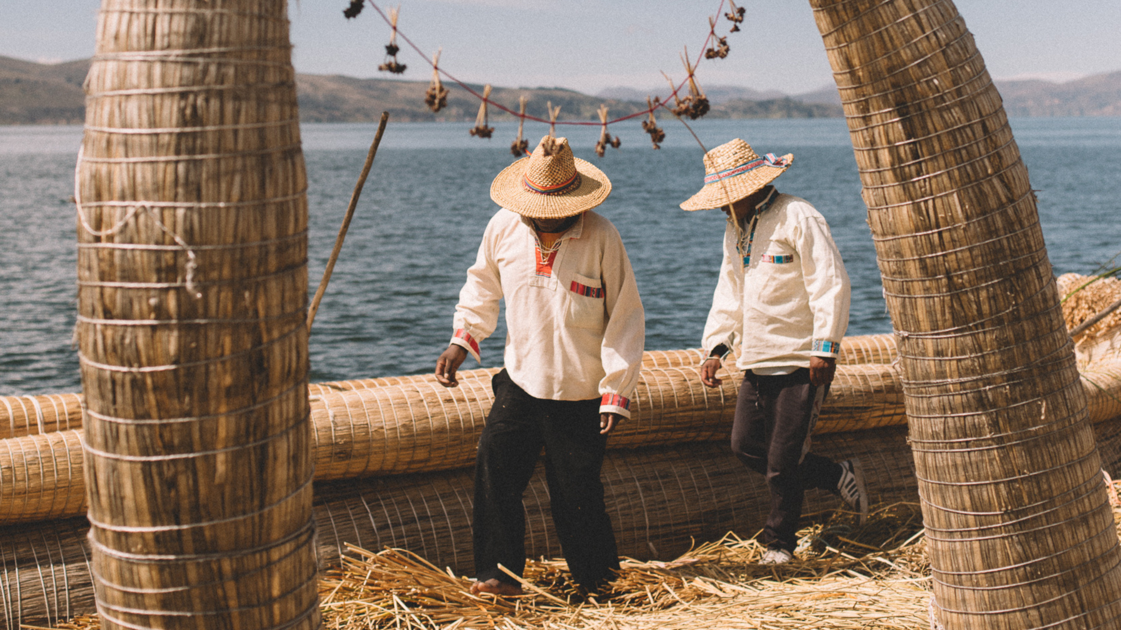 Jungle to Titicaca