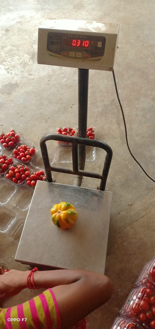 Two Acre - Substrate 5