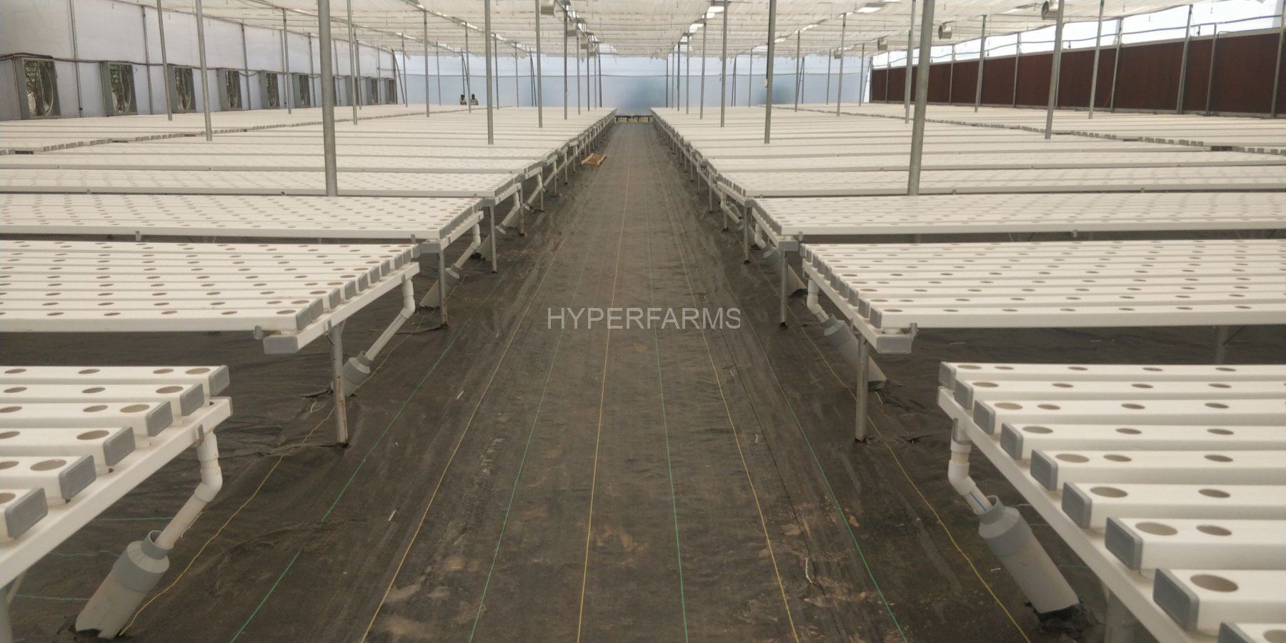 Half Acre - NFT 5