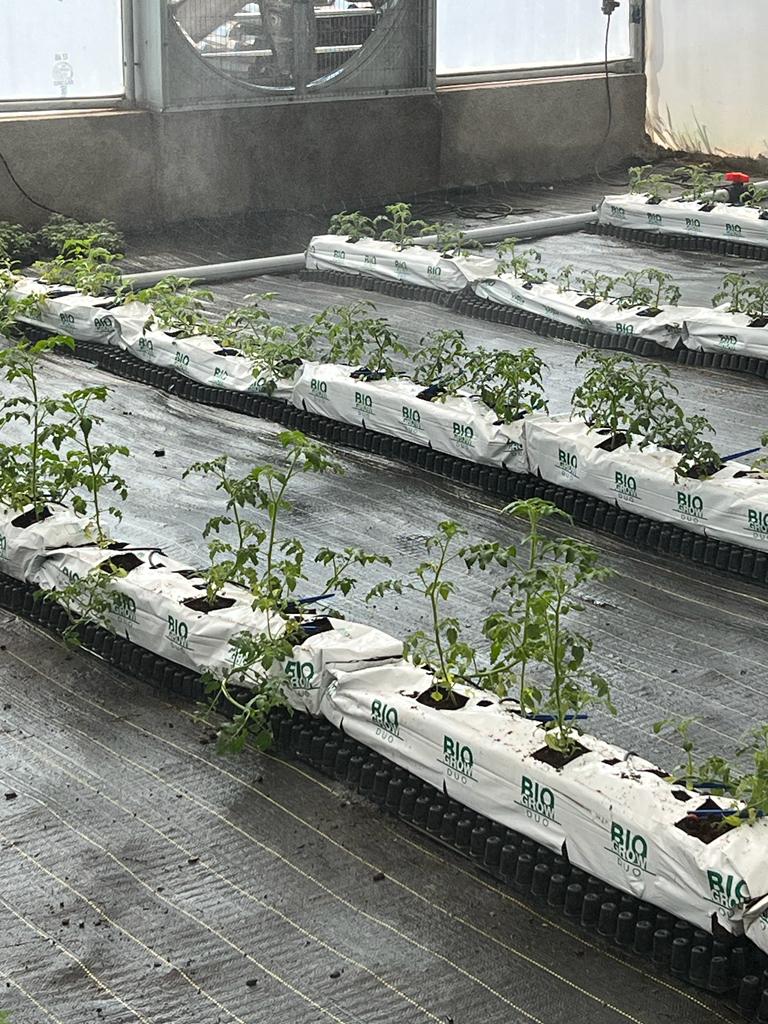 5,000 sq.ft - Substrate 5