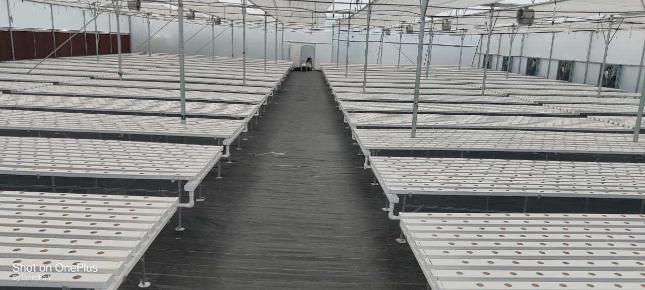 Quarter Acre - NFT 4
