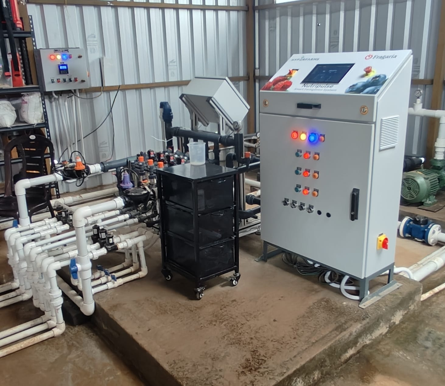 Blueberry and Raspberry Farming Karnataka - Fertigation installation at Fragaria 2