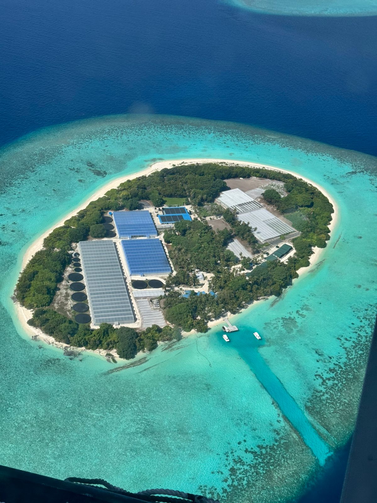 Hydroponics Farm in Maldives 1