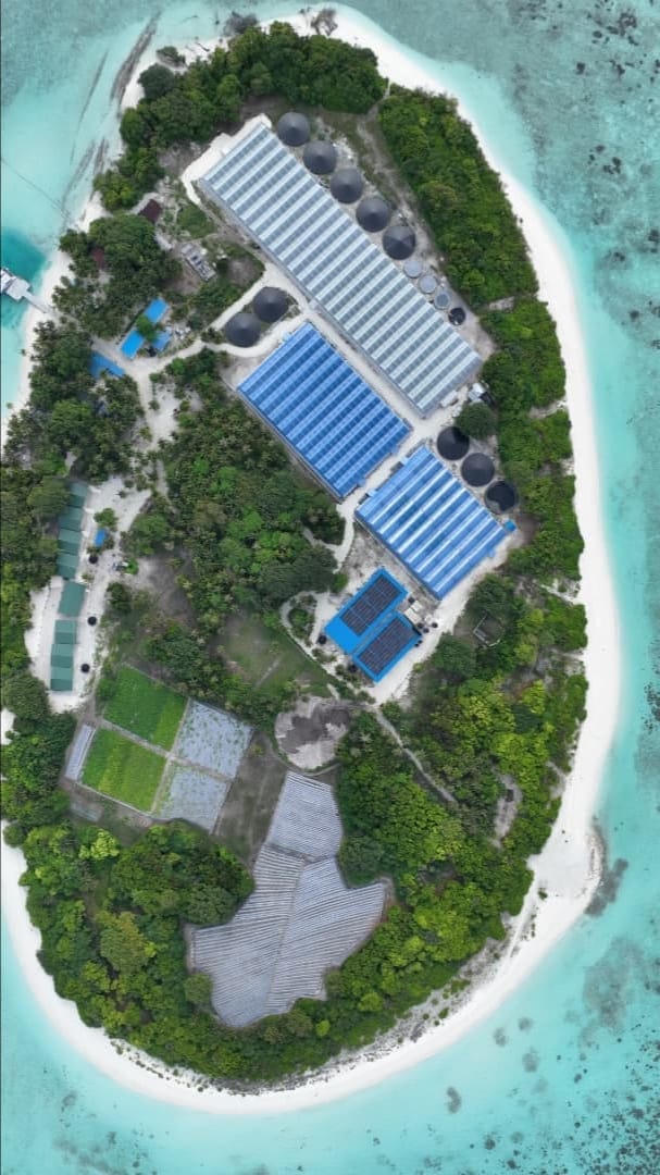 Hydroponics Farm in Maldives 4