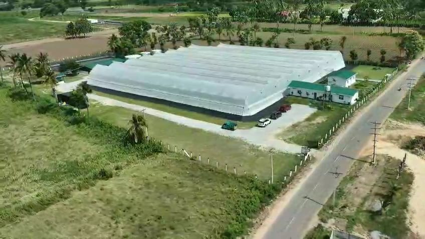 Biogrow Protec - Cherry Tomato Farming Karnataka - Fertigation Automation 1