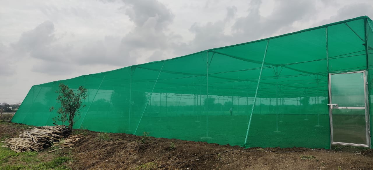 Quarter Acre - Substrate 5