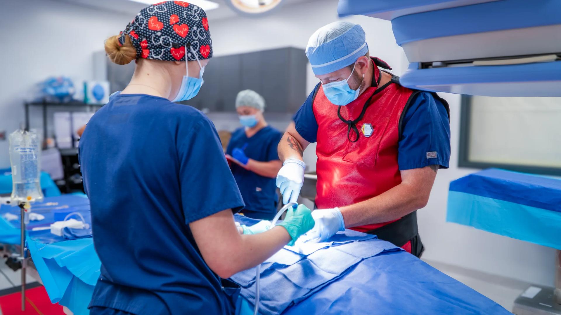 Advanced cardiovascular testing laboratory with specialized equipment for heart valve and vascular device validation