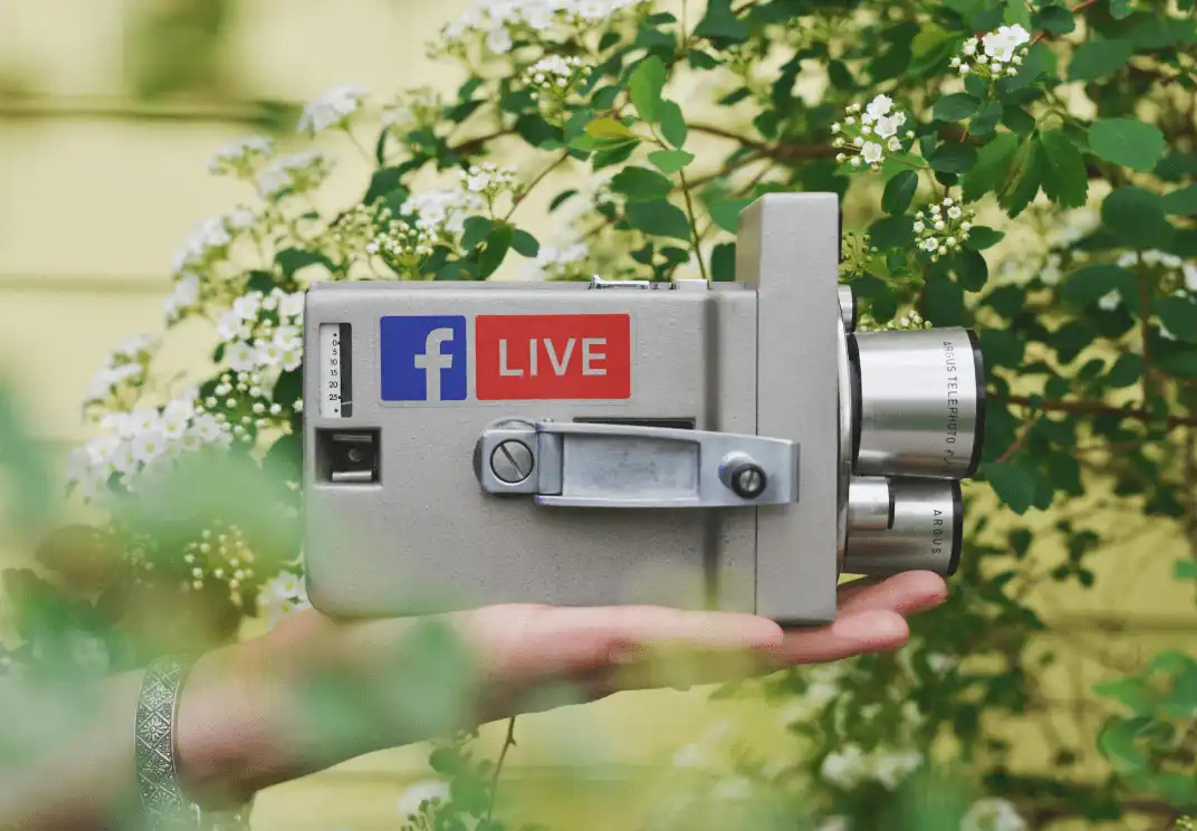 attività turistica, potenziali clienti, garantire la soddisfazione del cliente, richieste dei clienti, durata del tour, servizi aggiuntivi, attrarre clienti. vendite, servizi, industria, destinazione, aziende, migliorare il servizio, risorse, guide turistiche